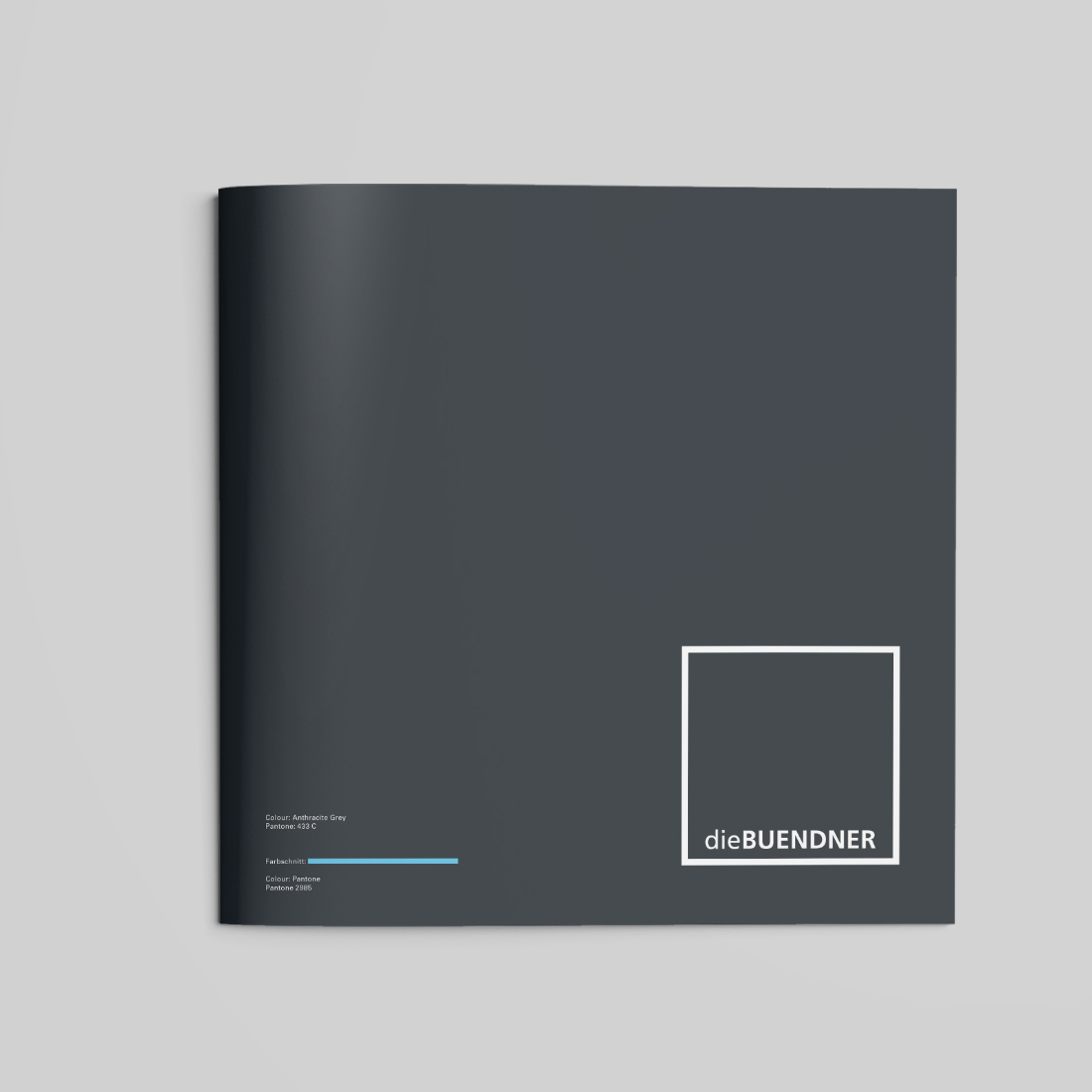 Logo diebuendner Zürich