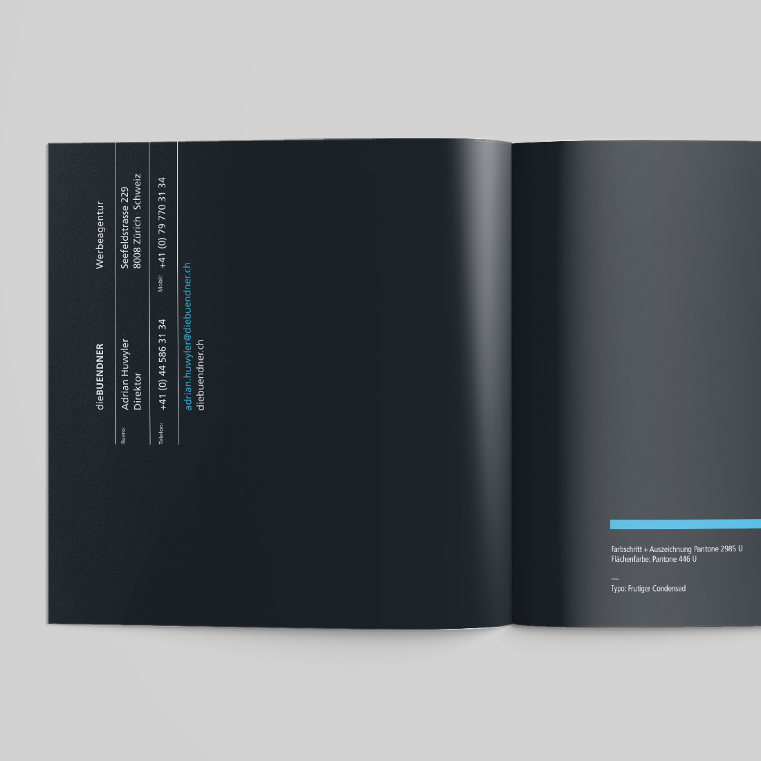 diebuendner Zürich Visitenkarten