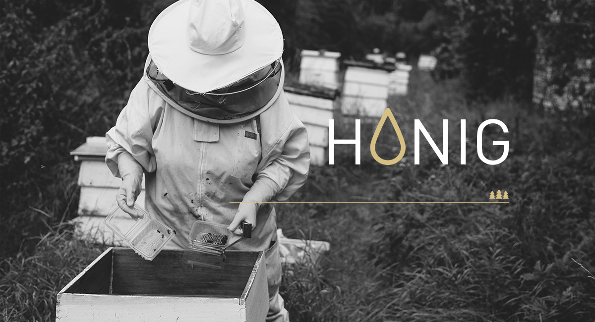 Imkerin Honig Schwarzwald