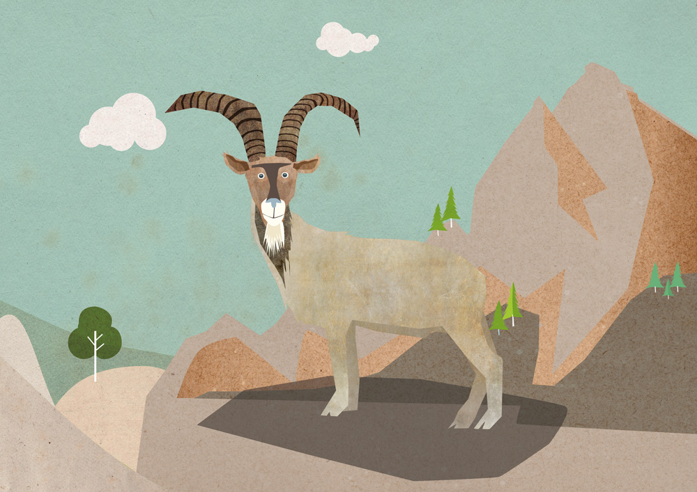 Steinbock Illustration SBB Cargo International